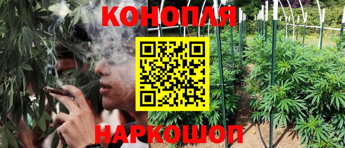 Кудымкар  МАРИХУАНА марихуана  Канабис ГИДРОПОН  Шишки марихуана конопля  Вход с VPN 